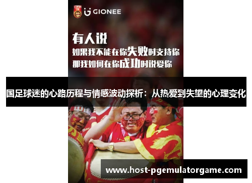 国足球迷的心路历程与情感波动探析：从热爱到失望的心理变化