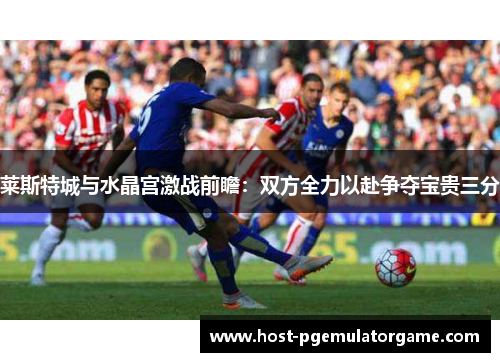 莱斯特城与水晶宫激战前瞻：双方全力以赴争夺宝贵三分