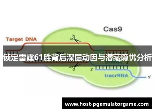 锁定雷霆61胜背后深层动因与潜藏隐忧分析 锁定雷霆61胜背后深层动因与潜藏隐忧分析
