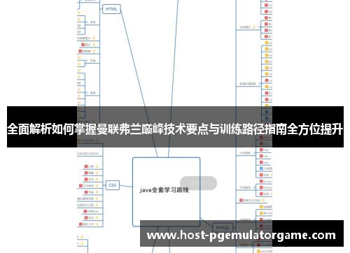 全面解析如何掌握曼联弗兰巅峰技术要点与训练路径指南全方位提升 全面解析如何掌握曼联弗兰巅峰技术要点与训练路径指南全方位提升