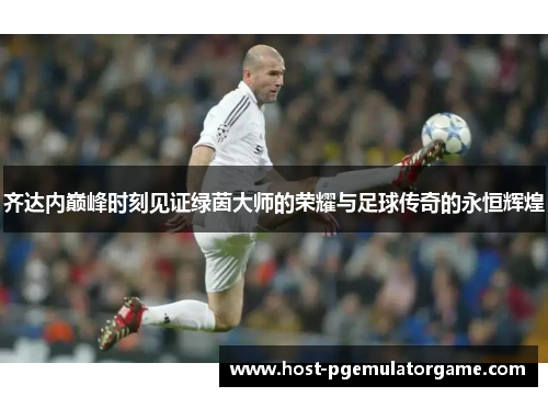 齐达内巅峰时刻见证绿茵大师的荣耀与足球传奇的永恒辉煌